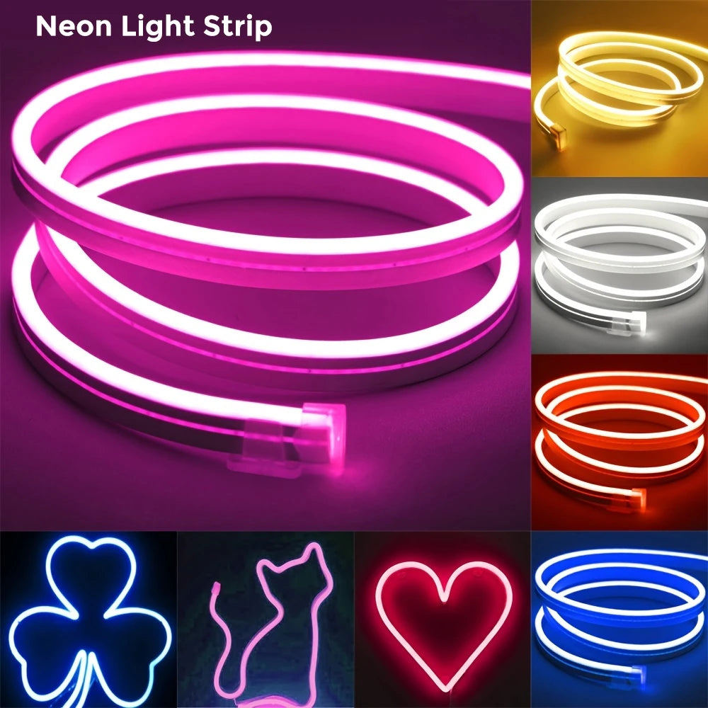 EU Plug LED Neon Strip Light